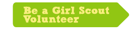 Volunteer Now